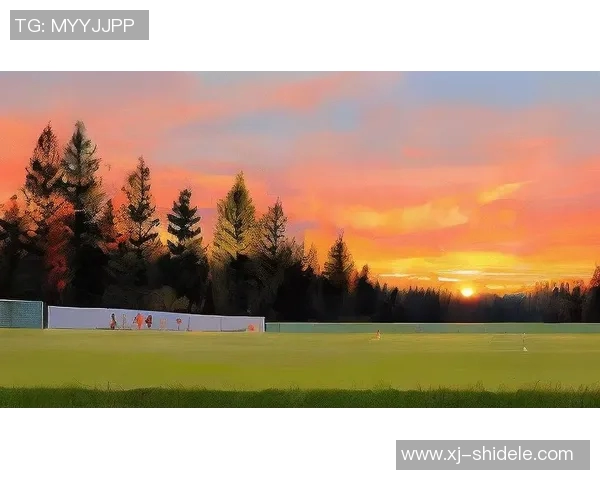 足球明星在绿茵场上挥洒汗水的精彩瞬间绘画作品欣赏