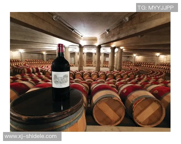 足球明星跨界投资酒庄打造独特品牌助力葡萄酒市场新风潮 足球明星跨界投资酒庄打造独特品牌助力葡萄酒市场新风潮