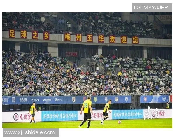 苏姓足球明星的传奇故事与辉煌成就揭秘