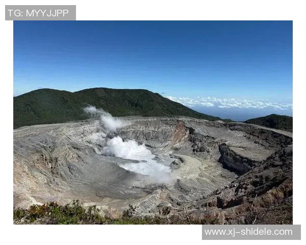 CCTV五频道直播巴西对决哥斯达黎加精彩赛事回顾与分析