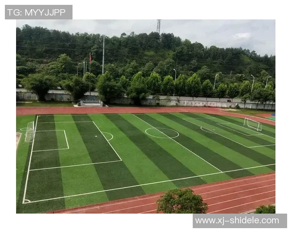 中考体育培训投资分析与策略探讨助力学生全面发展与升学竞争力提升