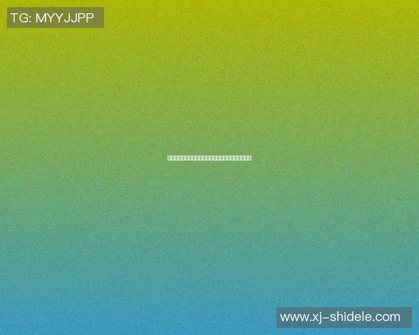 篮球明星们的传奇故事与他们对运动的热爱与奉献精神