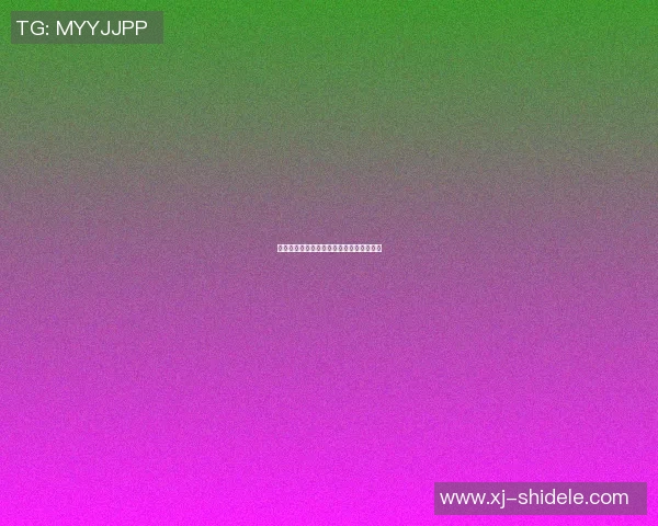 篮球明星刘春风的传奇之路与辉煌成就揭秘