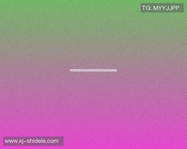 篮球明星手册积木打造你的篮球梦想世界与明星同行的创意拼搭体验